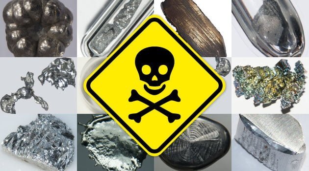 Heavy metals in food are more common than you think – Learn how to protect your family from them