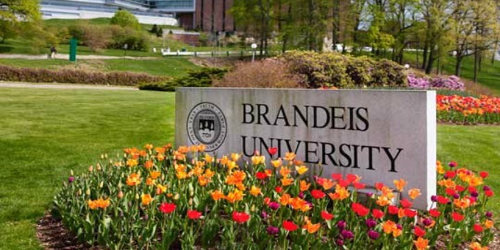 What the Brandeis Study Gets Shockingly Wrong About Antisemitism on Campus