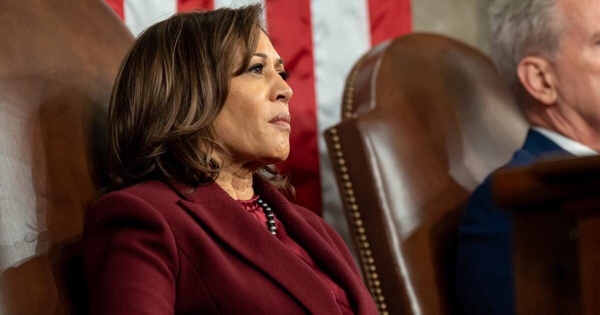 Team Biden will hit Kamala with ‘Palinesque’ attacks if she talks of cognitive decline: report