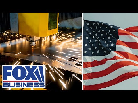 No other country has ‘CRIPPLED’ this industry like the US has, says Steve Forbes