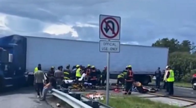 I agree with Trump. Drivers should be able to read road signs.