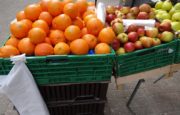 The Apples-and-Oranges Debate over Tariffs