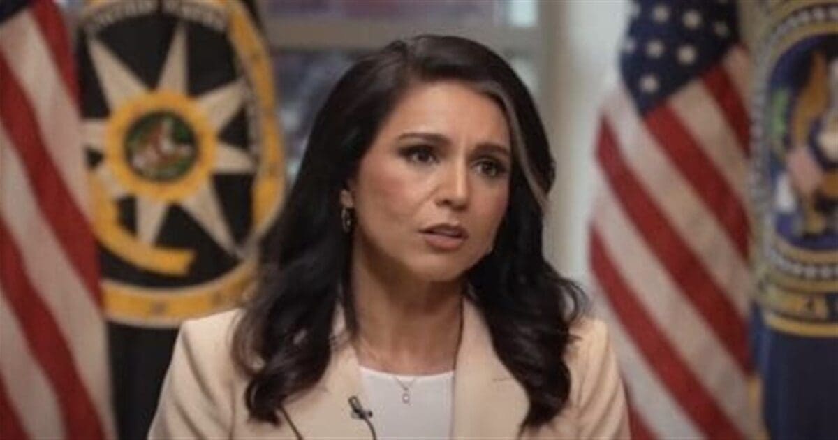 DNI Gabbard found ‘burn bags’ full of docs about 2020 election corruption
