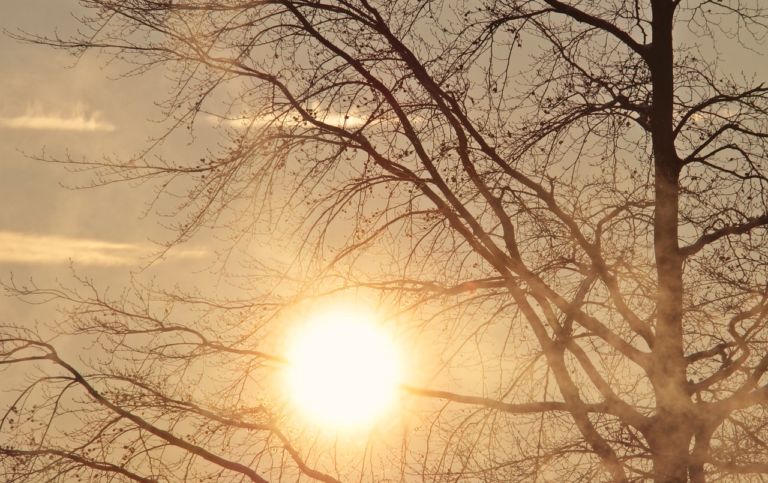 Lawsuit blames oil companies for heat-wave death
