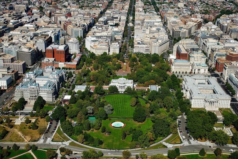 DC Democrats don’t like Trump stopping homicides